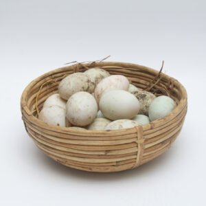 দেশি হাঁসের ডিম – Desi Duck Egg (12p (Box)