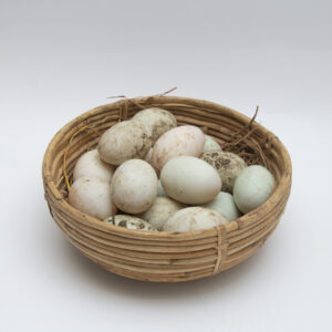 Eggs (Farm Fresh/Organic)