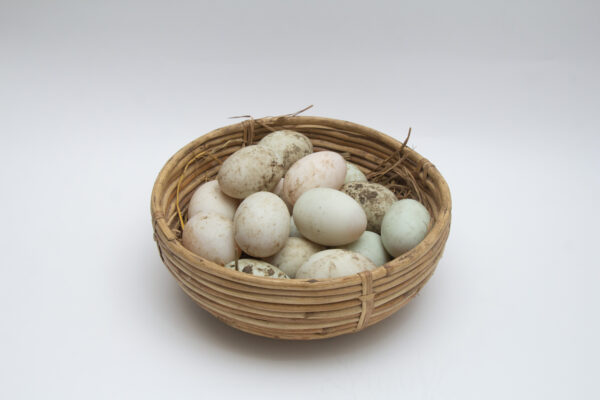 Eggs (Farm Fresh/Organic)
