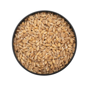গম - Barley