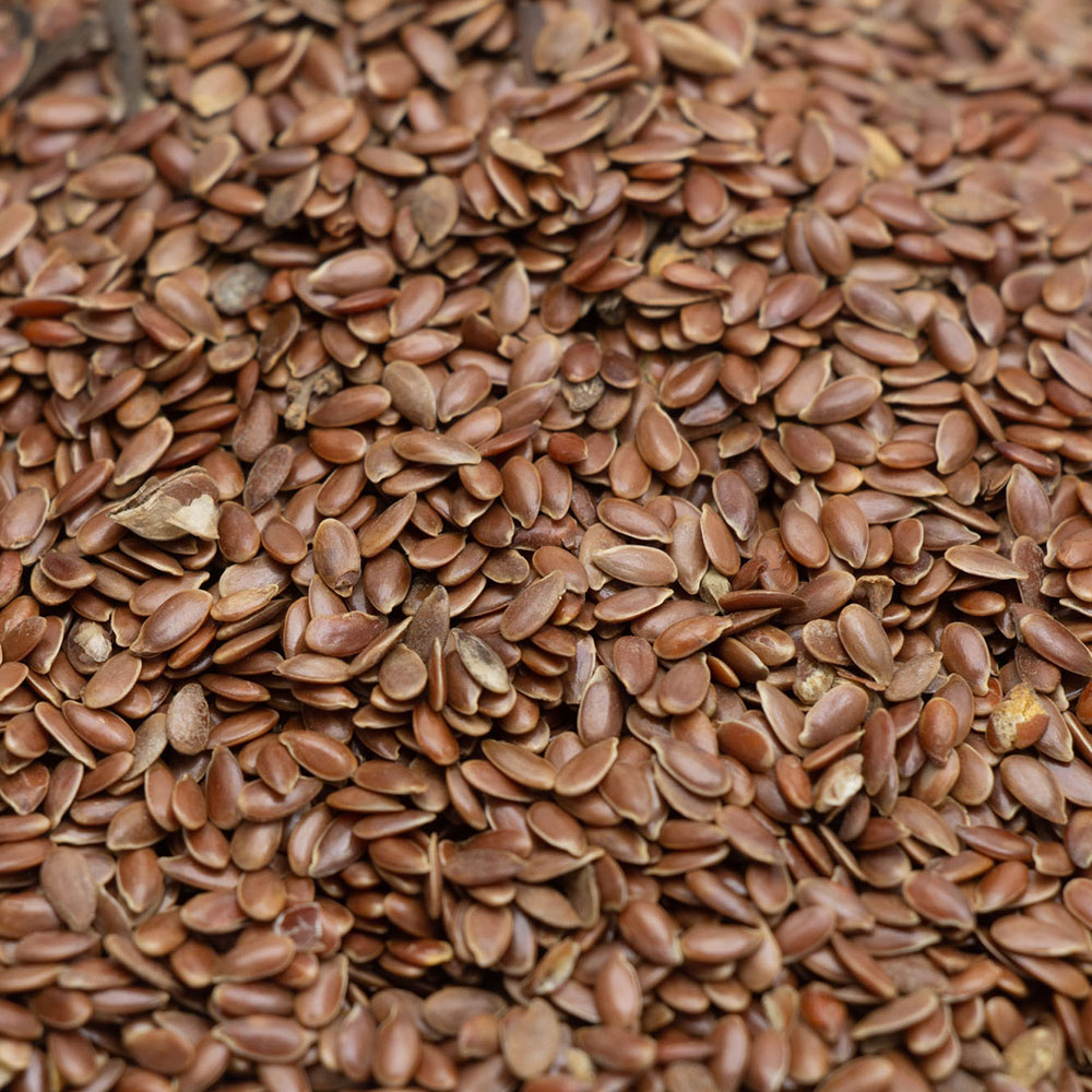 তিসি-বীজ3