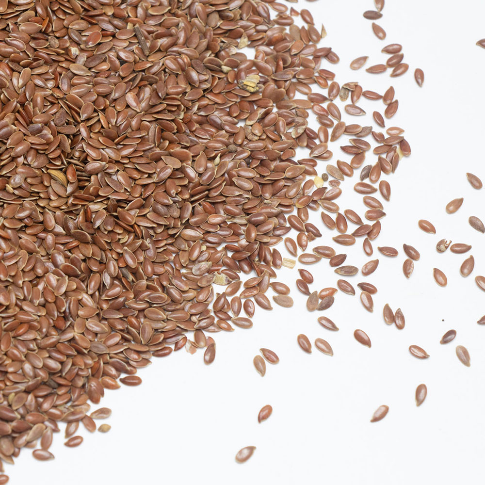 তিসি-বীজ4