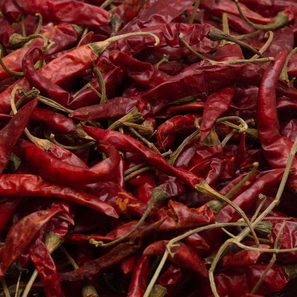 শুকনা-মরিচ1